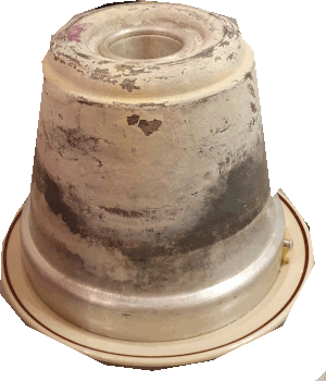 Kohlpudding auf dem Teller