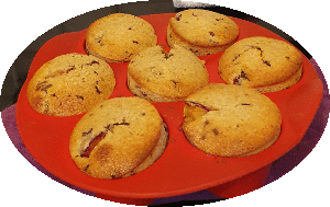 Sannis Muffins