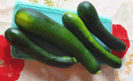 Zucchini